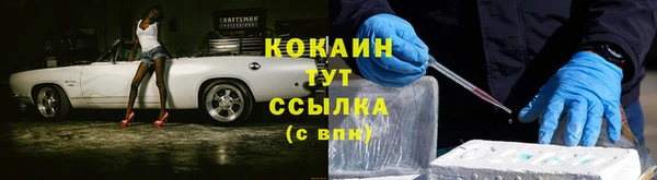 ешки Корсаков