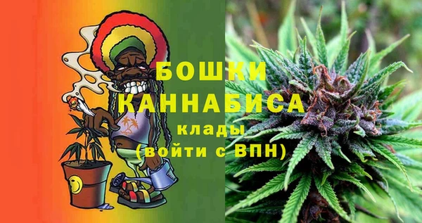 ешки Корсаков