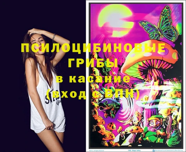 метадон Коряжма