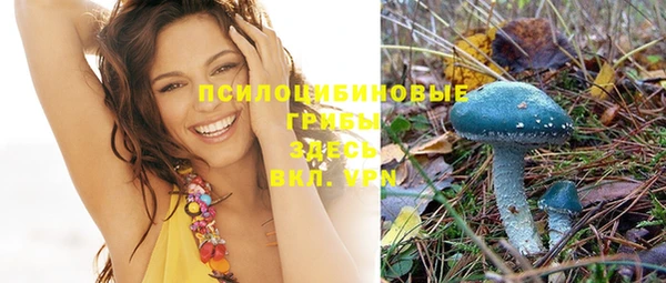 метадон Коряжма