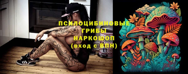 синтетический гашиш Костерёво