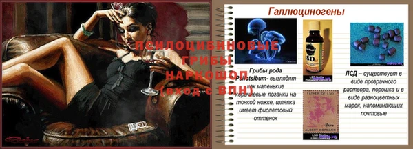 ешки Корсаков