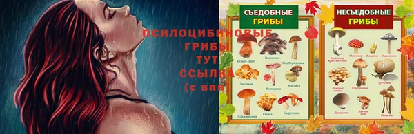метадон Коряжма