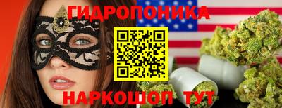 прущие крисы Краснокаменск