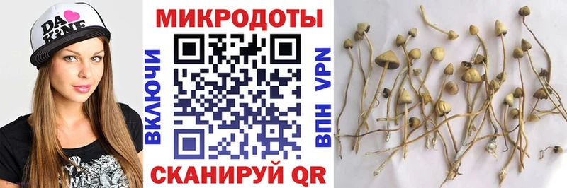 Галлюциногенные грибы прущие грибы  как найти наркотики  blacksprut как зайти  Сызрань 