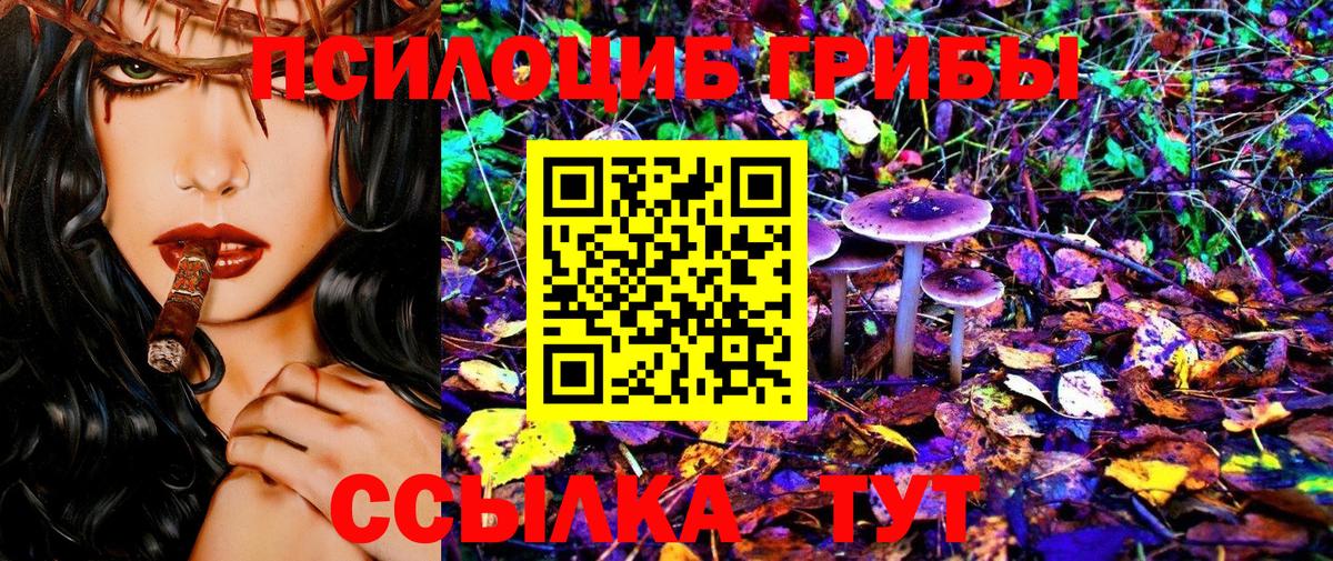 Псилоцибиновые грибы Psilocybine cubensis  Псилоцибиновые грибы ЛСД  Вход с VPN  Сызрань 