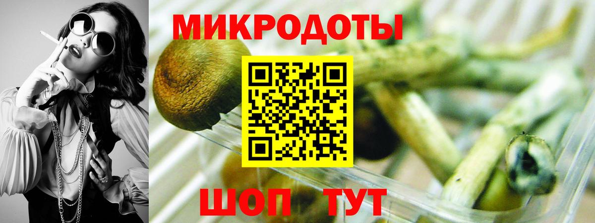 Псилоцибиновые грибы Psilocybine cubensis Сызрань